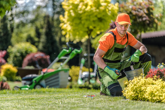 Landscaping Business